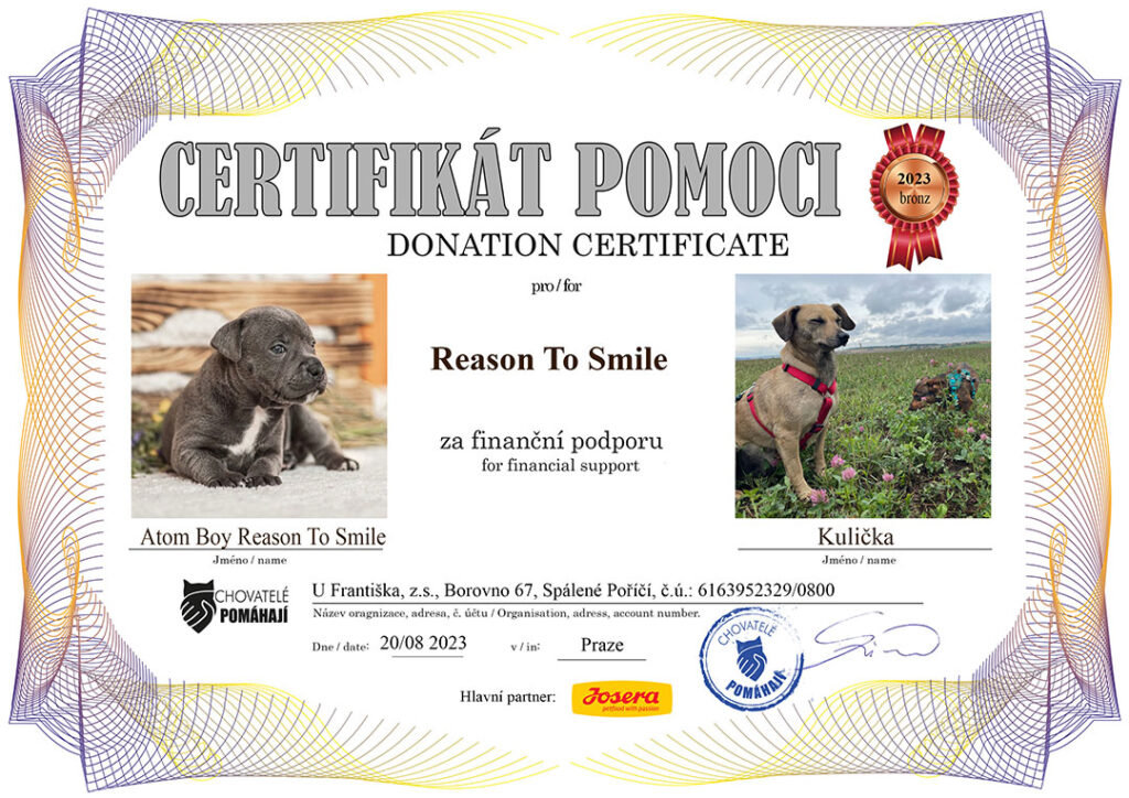 Atom Boy Reason To Smile – Kulička