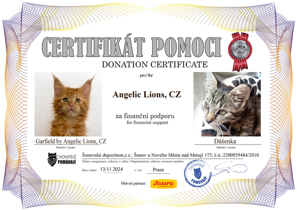 Garfield – Dášenka