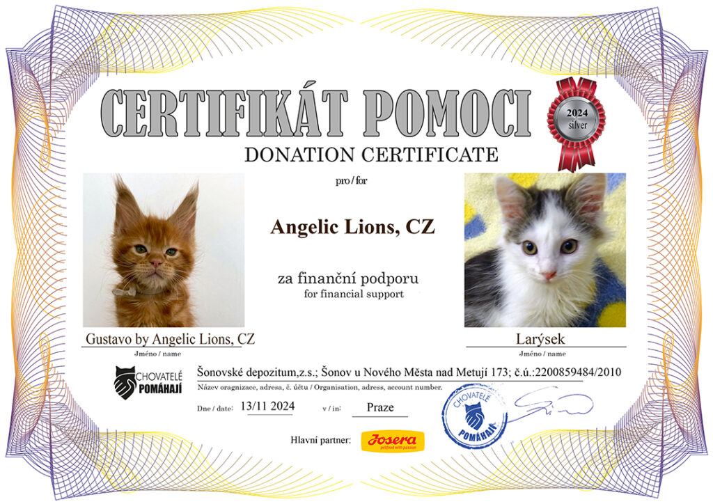 Gustavo – Larýsek