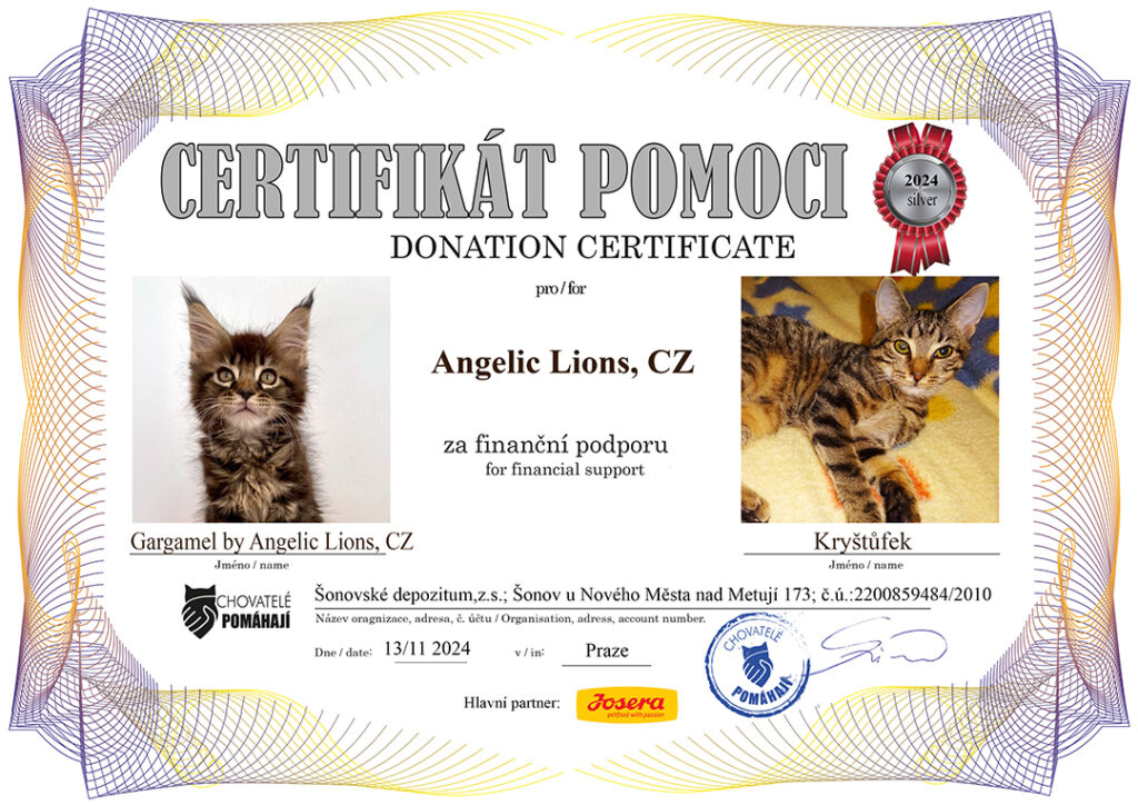 Gargamel – Krištůfek