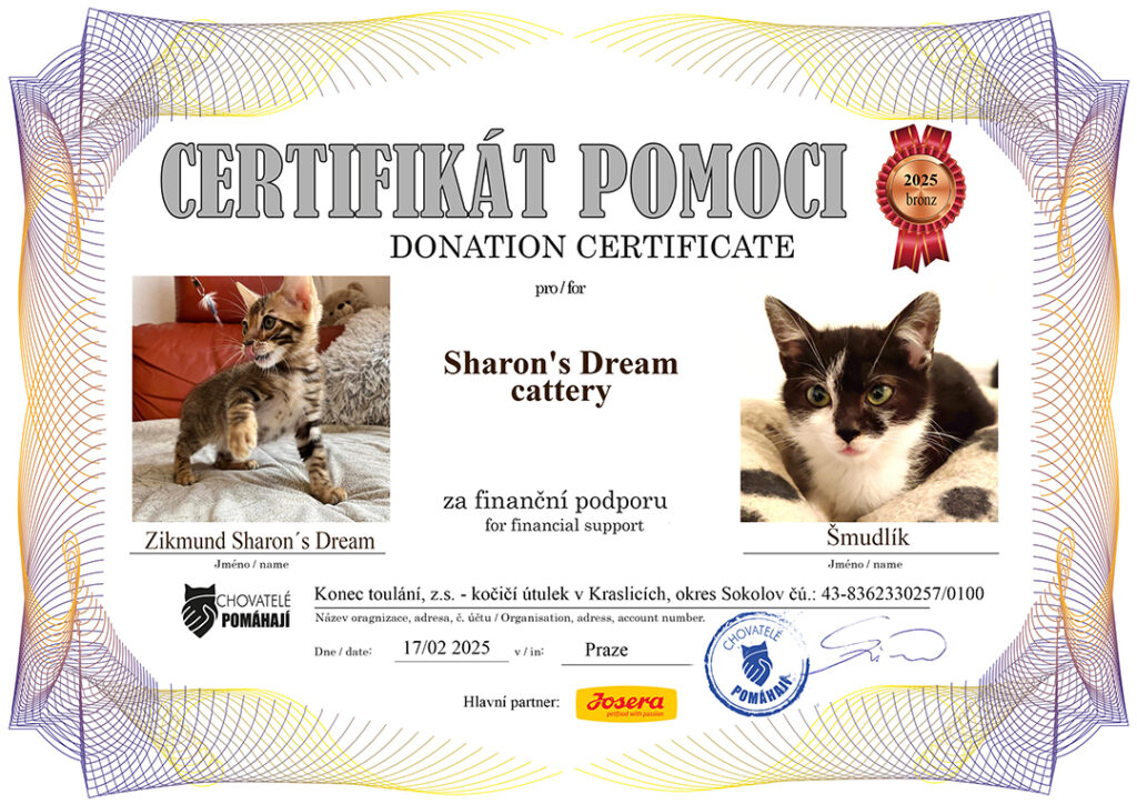 Zikmund – Šmudlík