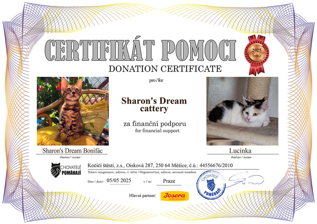 Bonifác – Lucinka