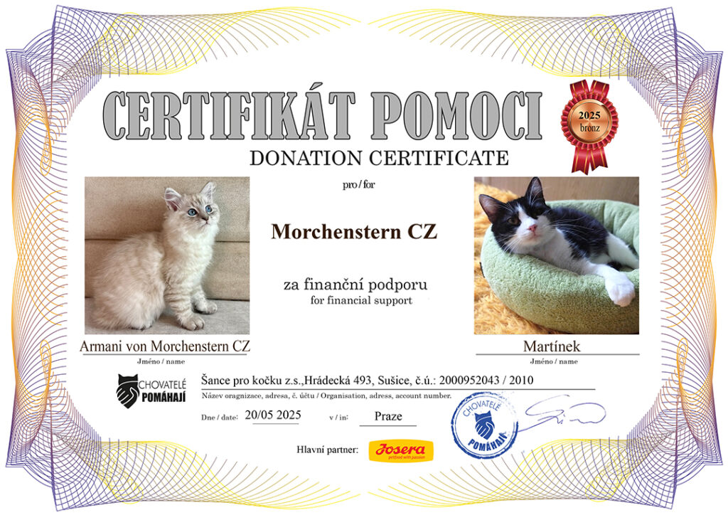 Armani – Martínek