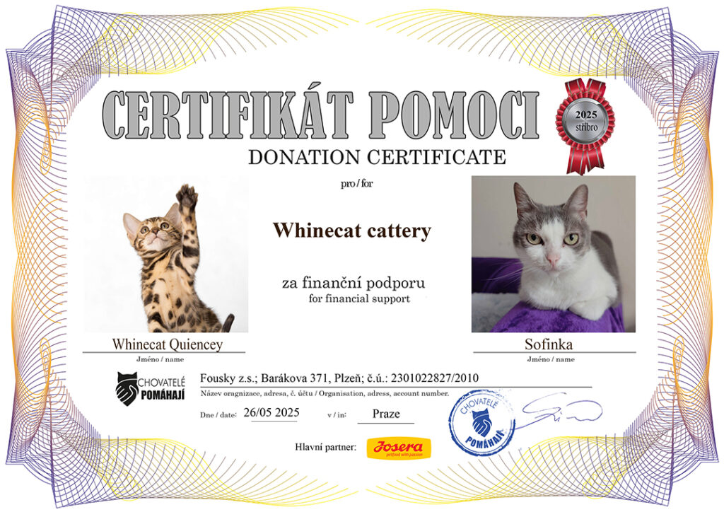 Quiencey – Sofinka