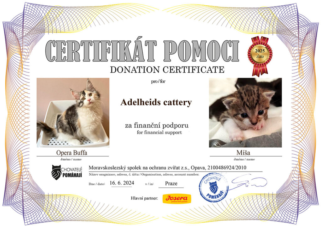 Opera Buffa – Míša