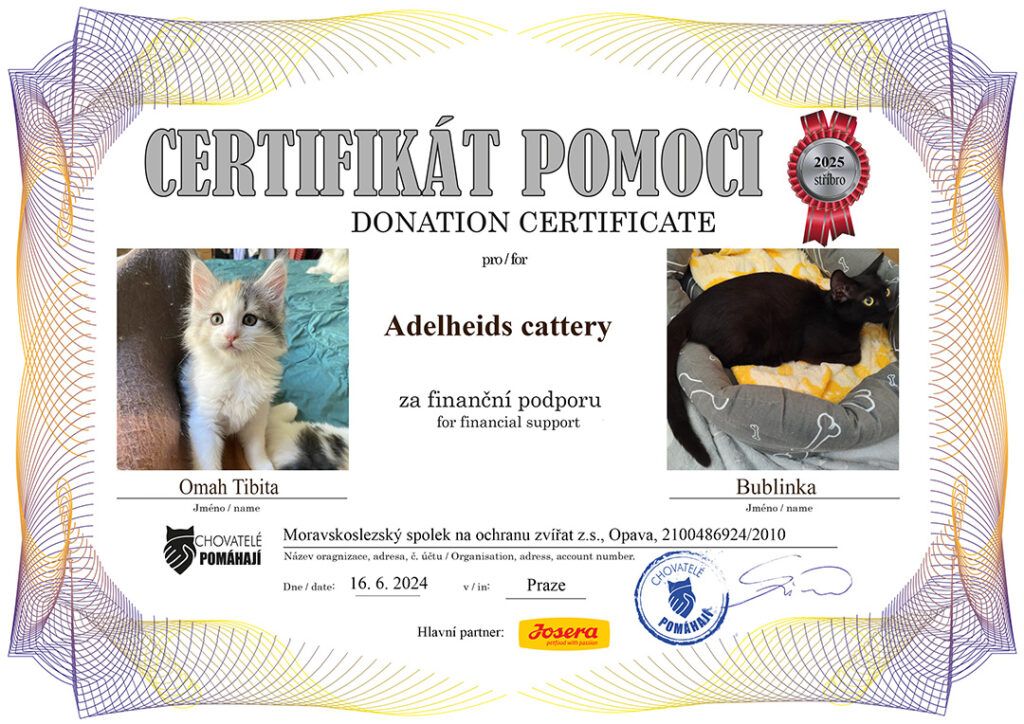 Omah Tibita – Bublinka