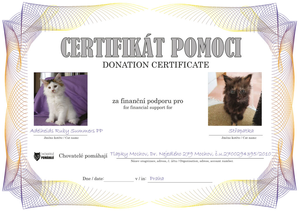 Adelheids Ruby Summers PP – Střapatka