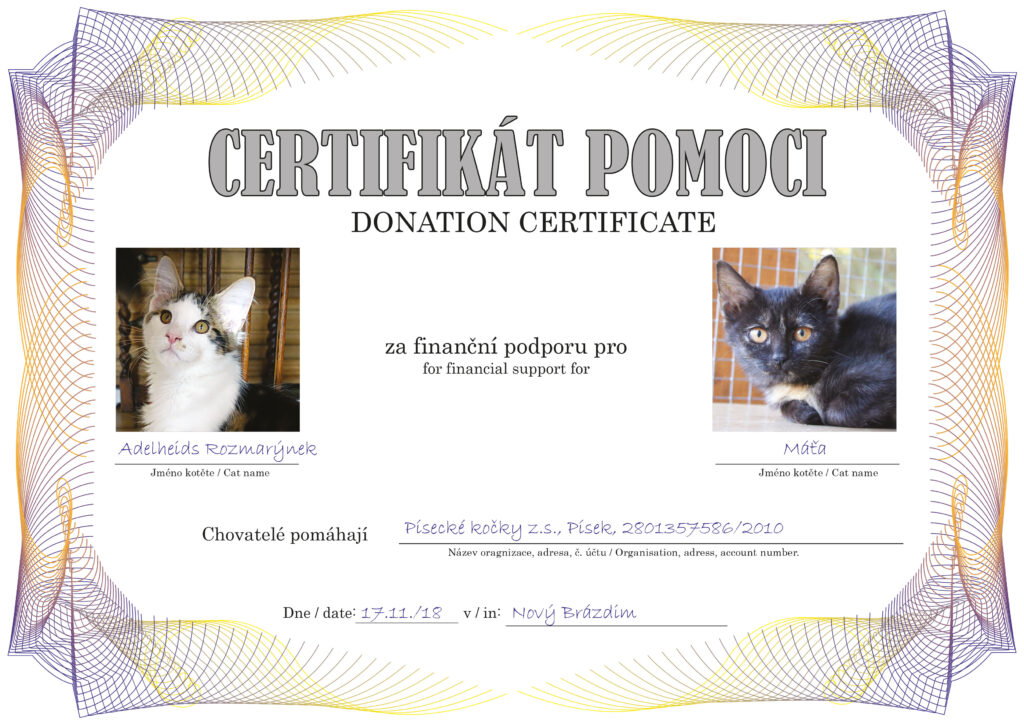 Adelheids Rozmarýnek – Máťa