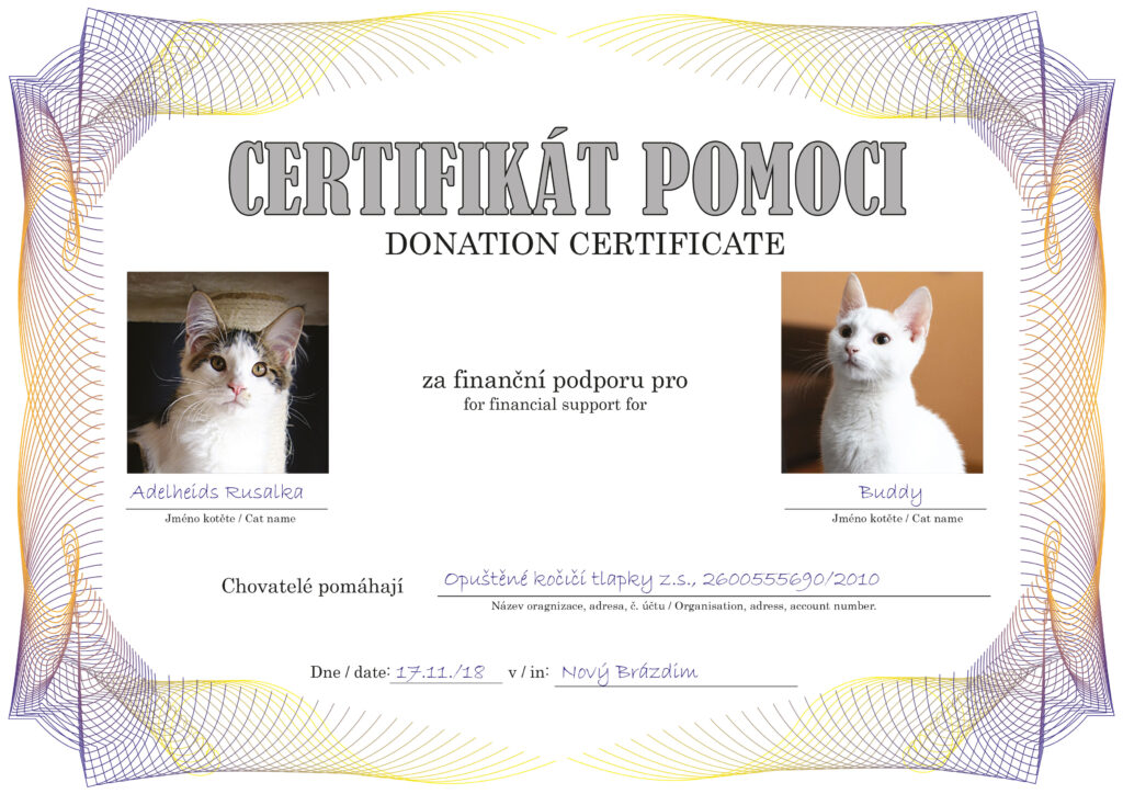 Adelheids Rusalka – Buddy