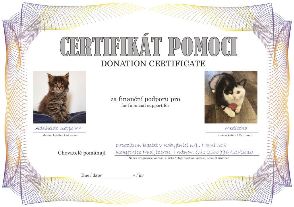 Seppo PP – Medúzka