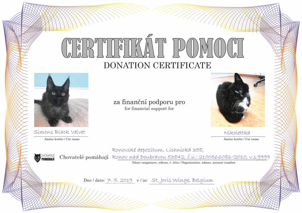 Simons Black Velvet – Nikolettka