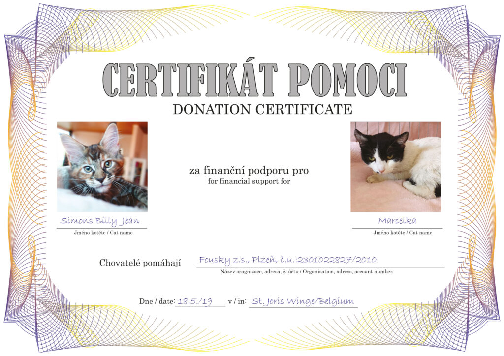 Simons Billy Jean – Marcelka