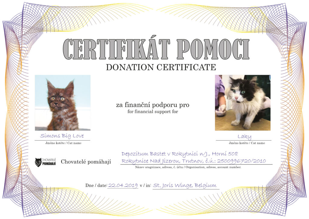 Simons Big Love – Laky