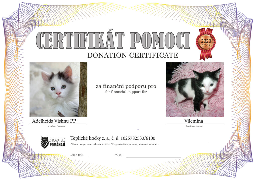 Vishnu PP – Vilemína