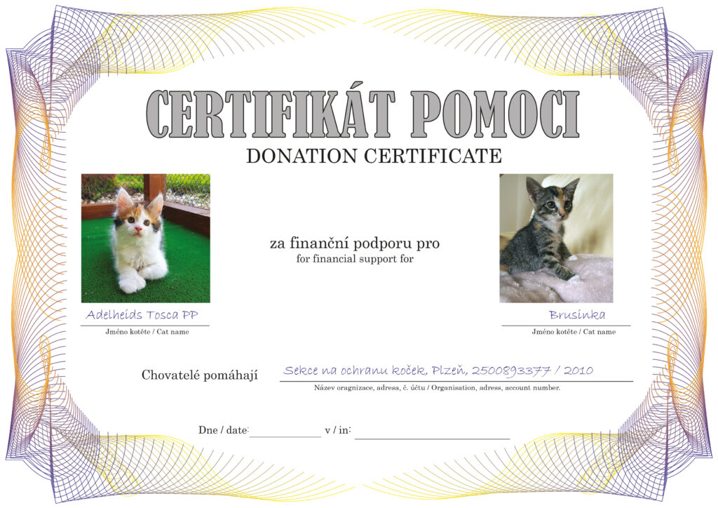 Tosca PP – Brusinka