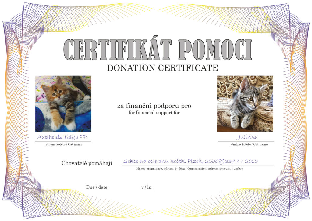 Taiga PP – Julinka