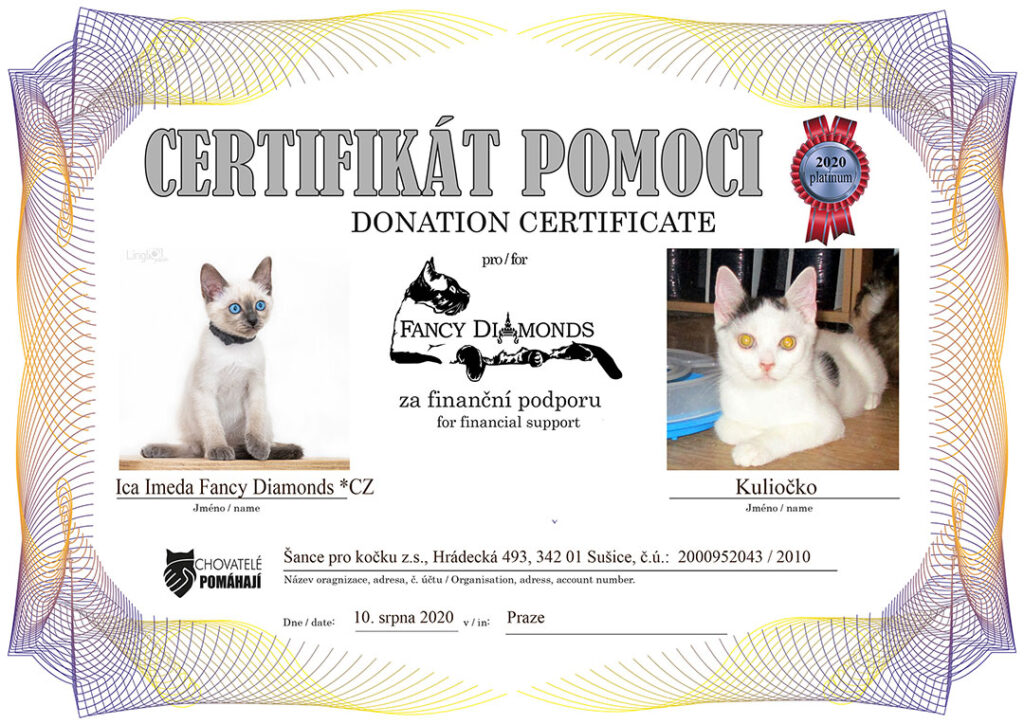 Ica Imeda Fandy Diamonds *CZ – Kuliočko