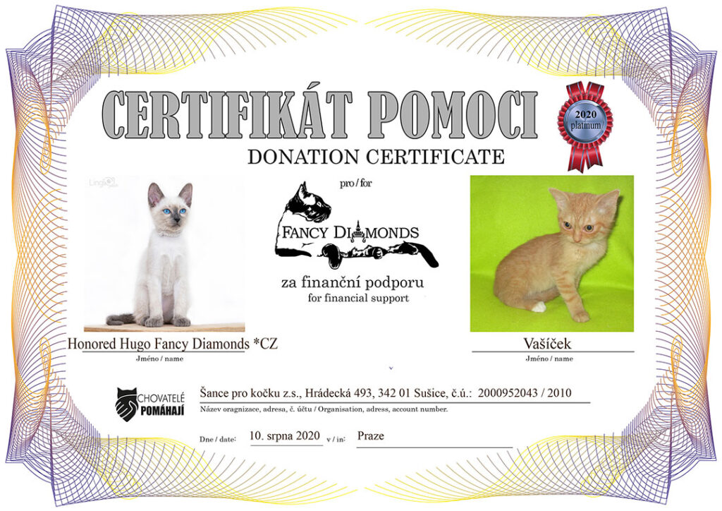 Honored Hugo Fancy Diamonds *CZ – Vašíček