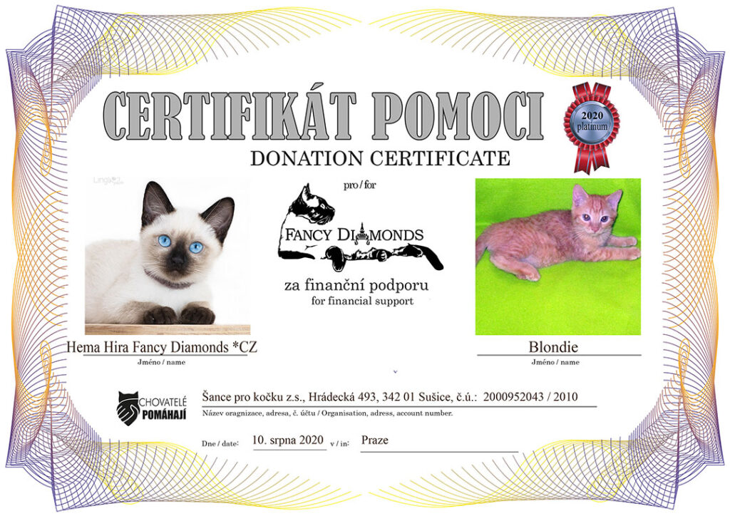 Hema Hira Fancy Diamonds *CZ – Blondie