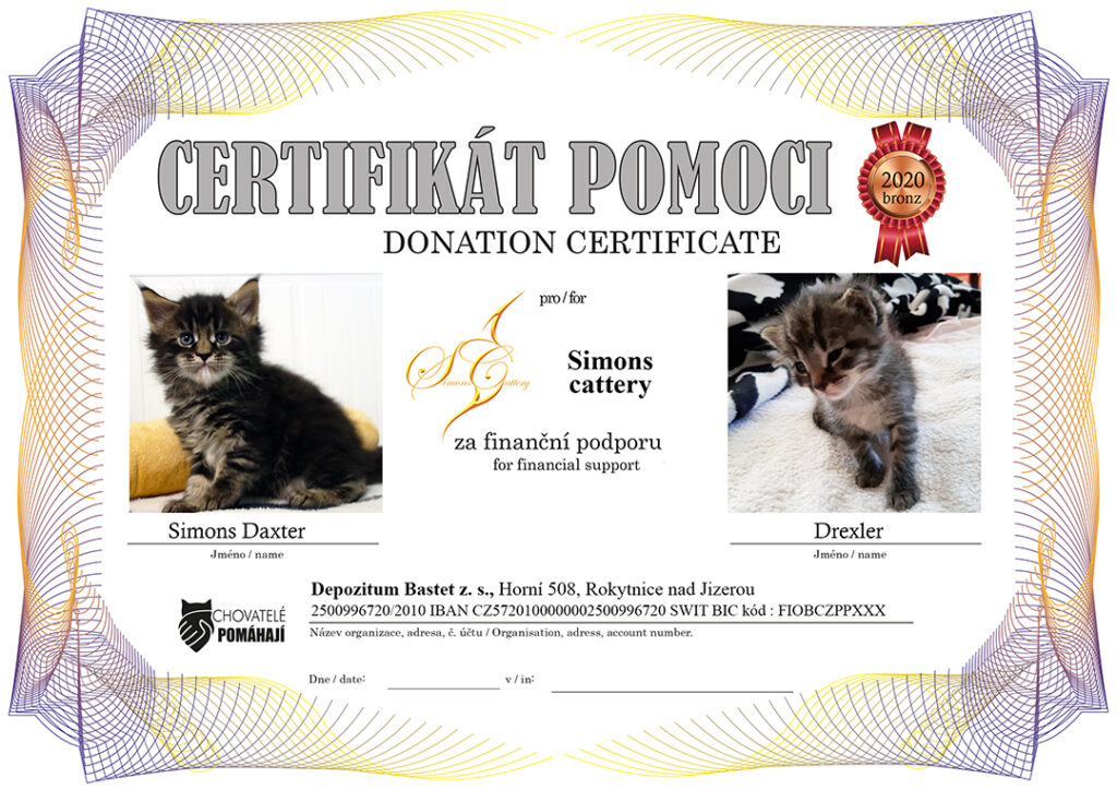 Simons Daxter – Drexler