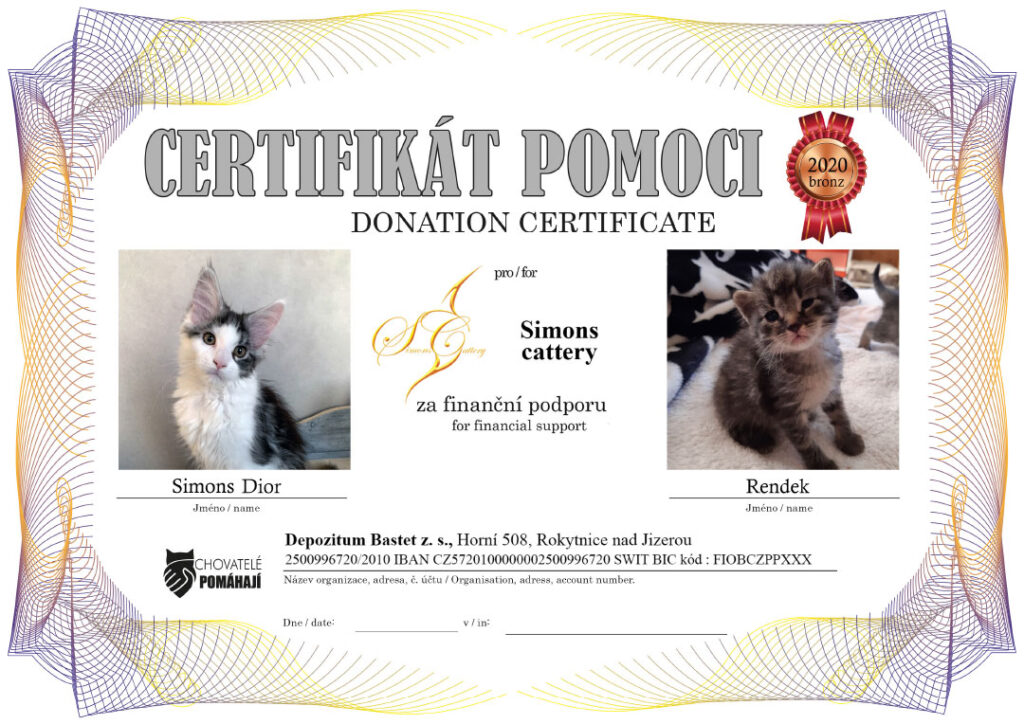 Simons Dior – Rendek