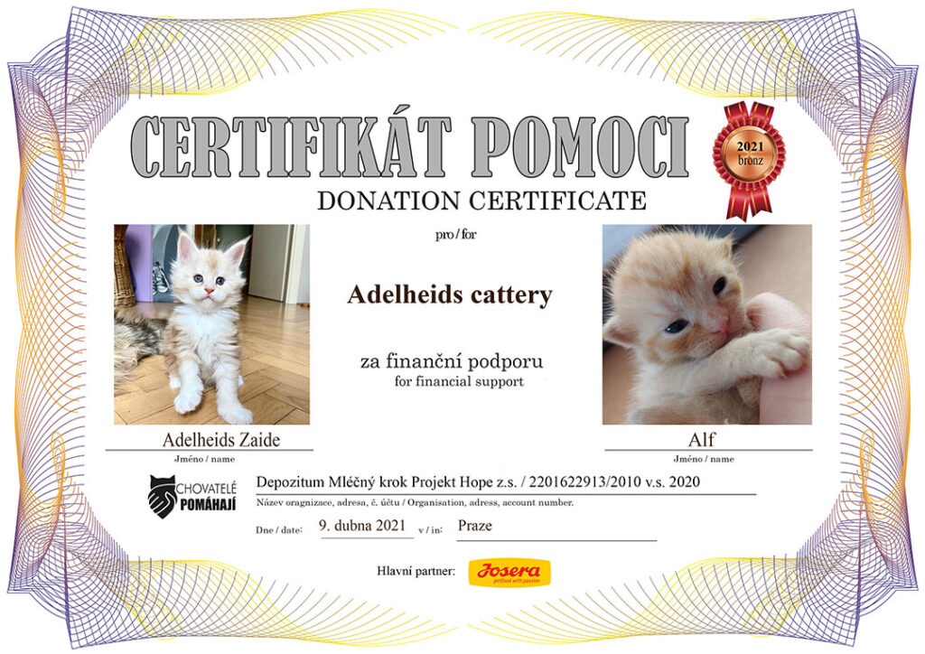 Adelheids Zaide – Alf