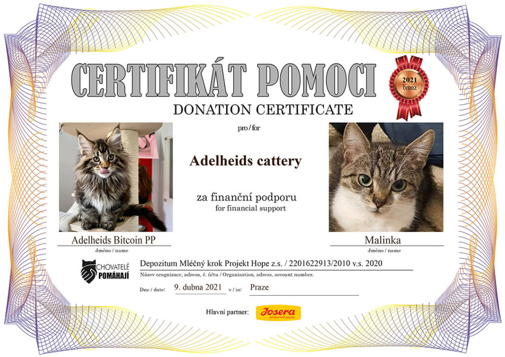 Bitcoin PP – Malinka