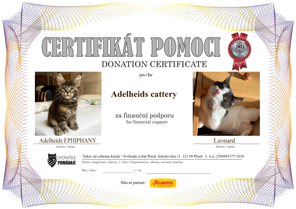 Ephiphany – Leonard