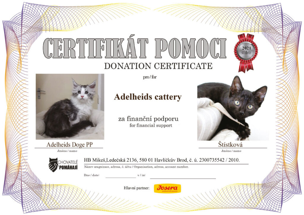 Doge PP – Štístková