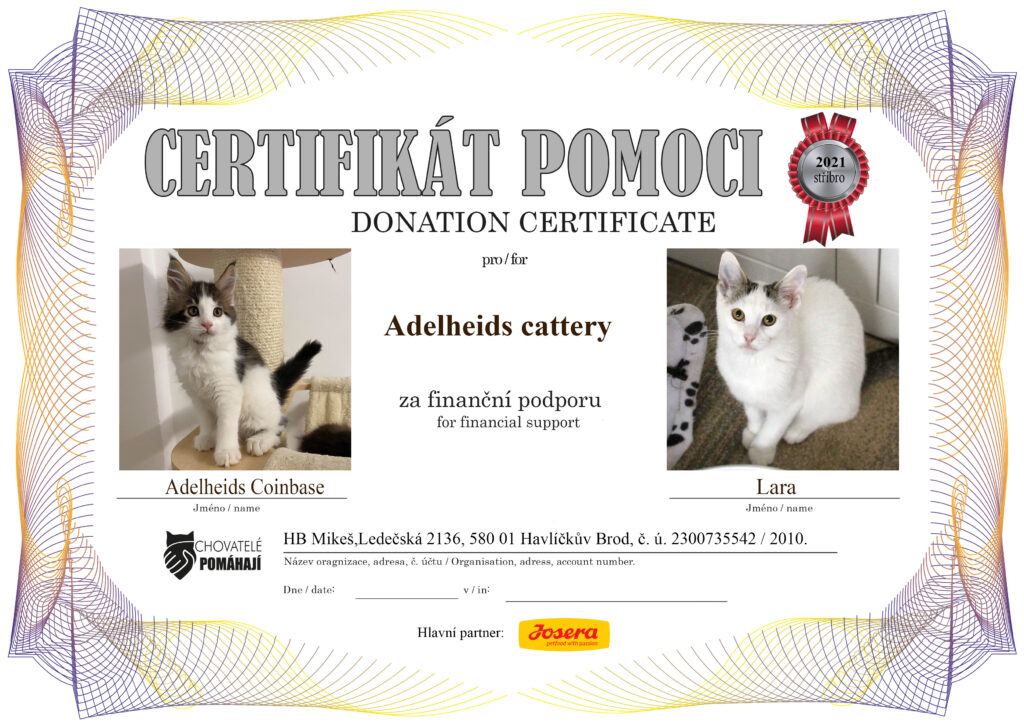 Adelheids Coinbase – Lara