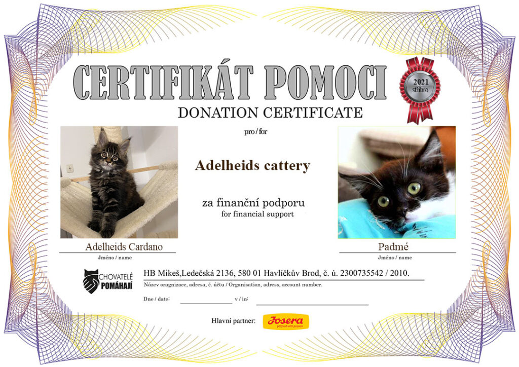 Adelheids Cardano – Padmé