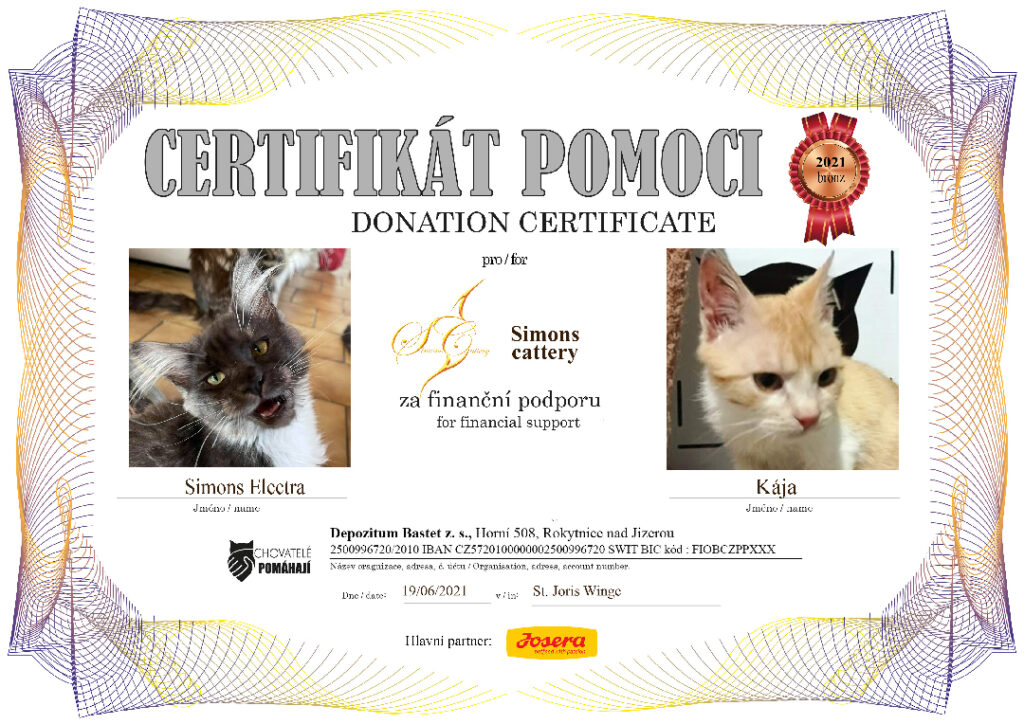 Simons Electra – Kája