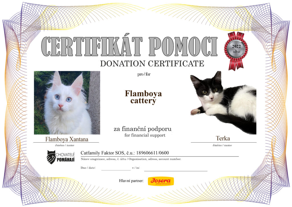 Flamboya Xantana – Terka