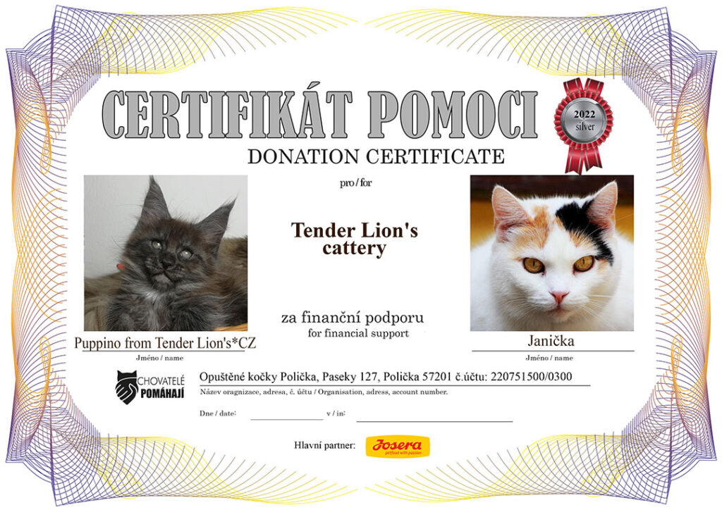 Puppino from Tender Lios’s*CZ – Janička