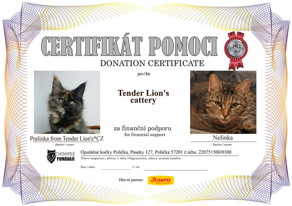 Pralinka from Tender Lion’s*CZ – Nelinka