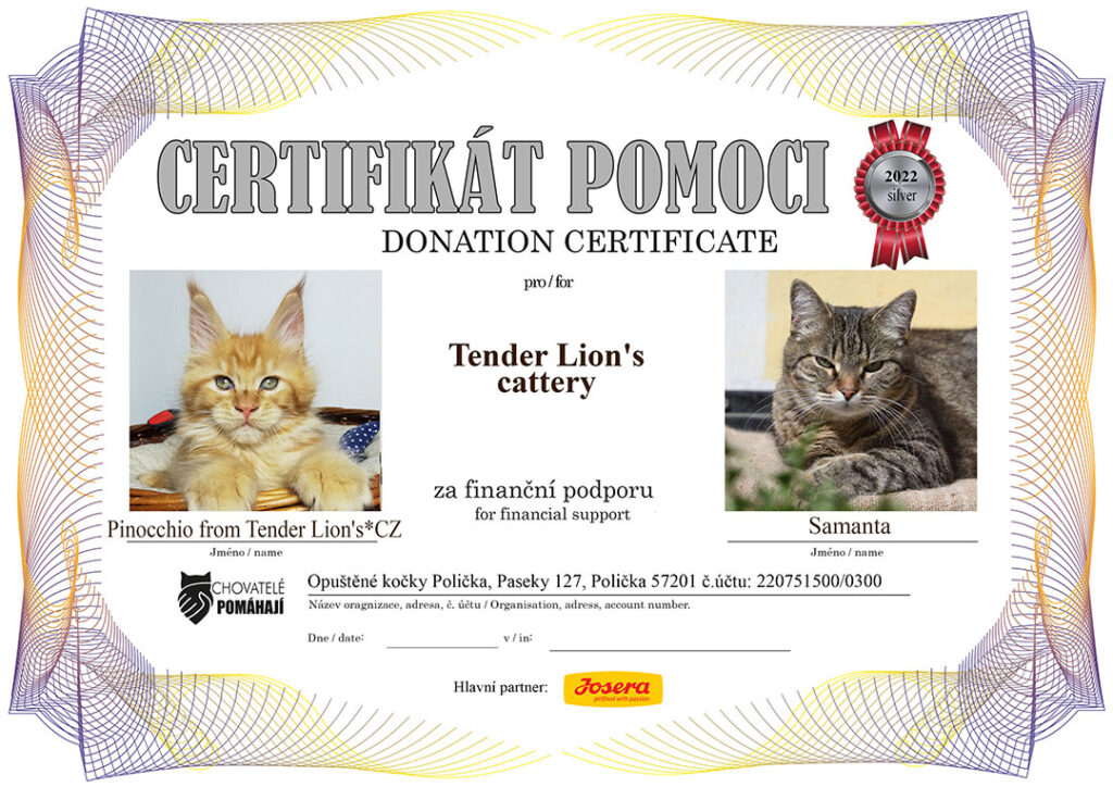 Pinocchio from Tender Lion’s*CZ – Samanta