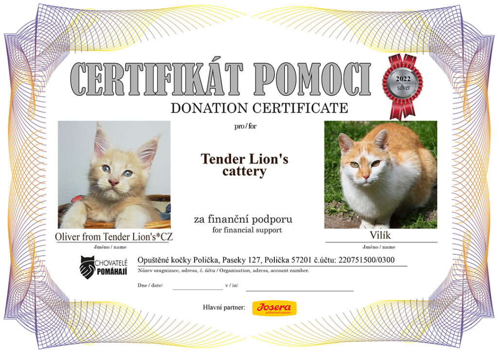 Oliver from Tender Lion’s*CZ – Vilík