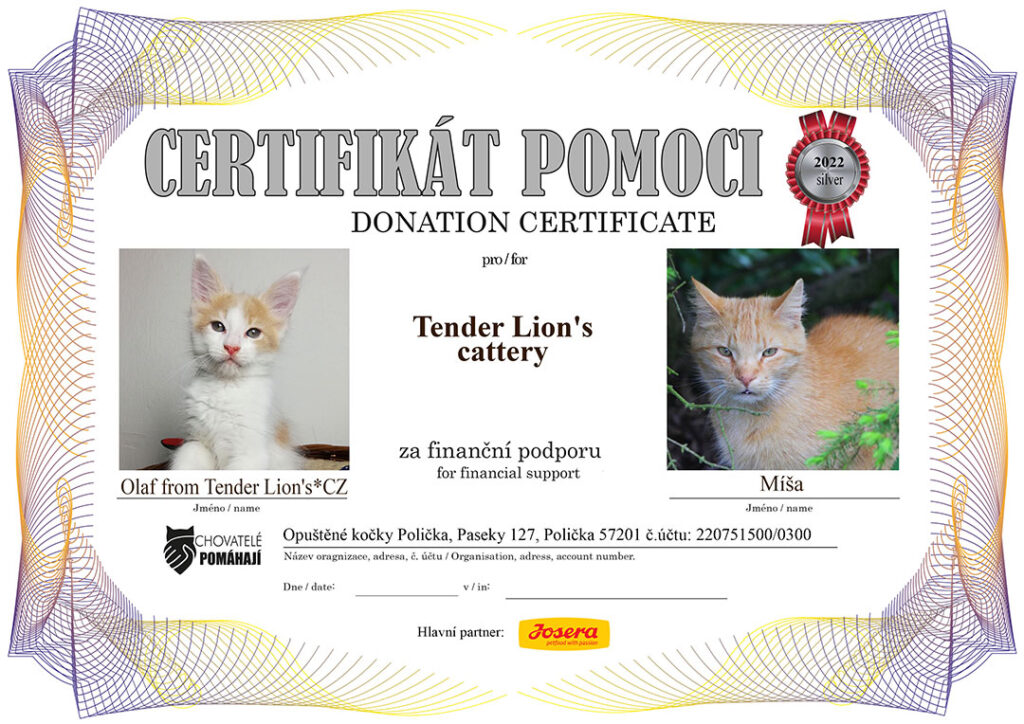 Olaf from Tender Lion’s*CZ – Míša