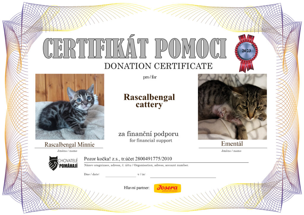 Rascalbengal Minnie – Ementál