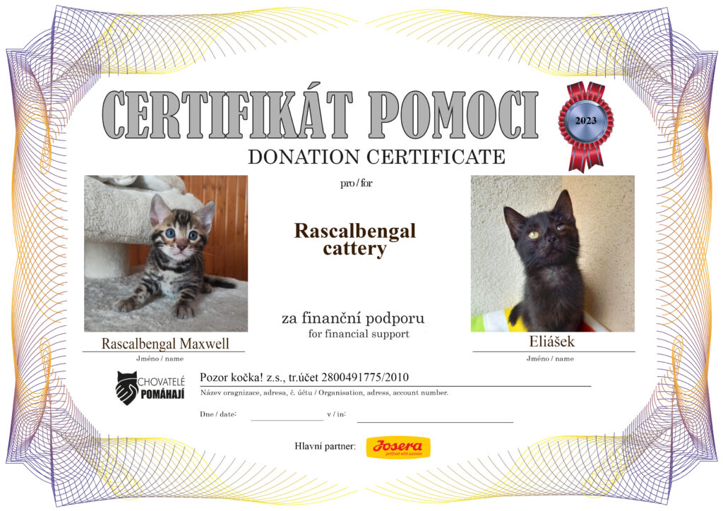 Rascalbengal Maxwell – Eliášek