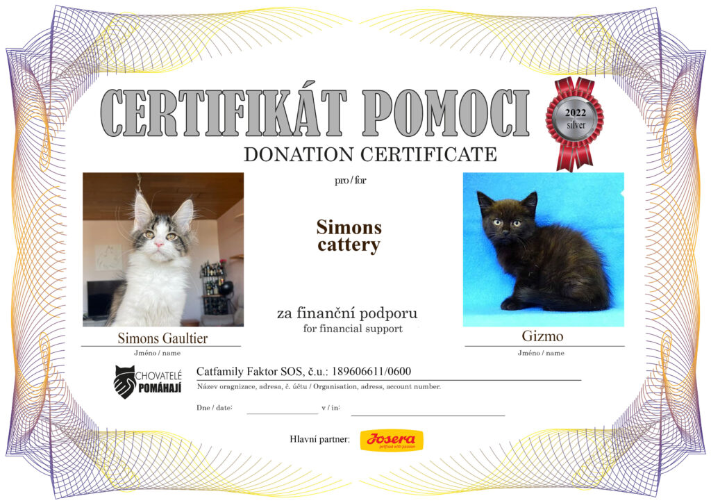 Simons Gaultier – Gizmo