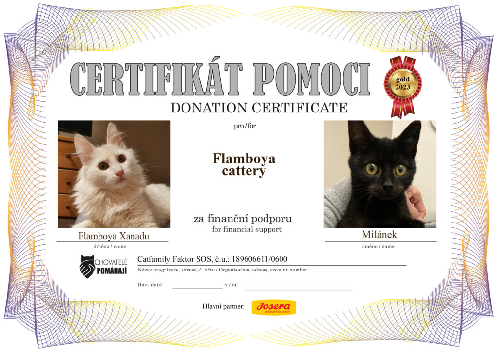 Flamboya Xanadu – Milánek