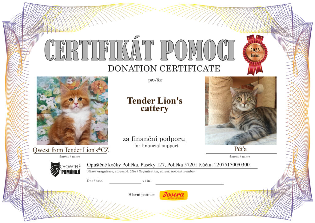 Qwest from Tender Lion’s*CZ – Péťa