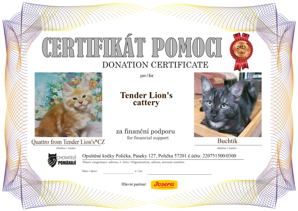 Quattro from Tender Lion’s*CZ – Buchtík