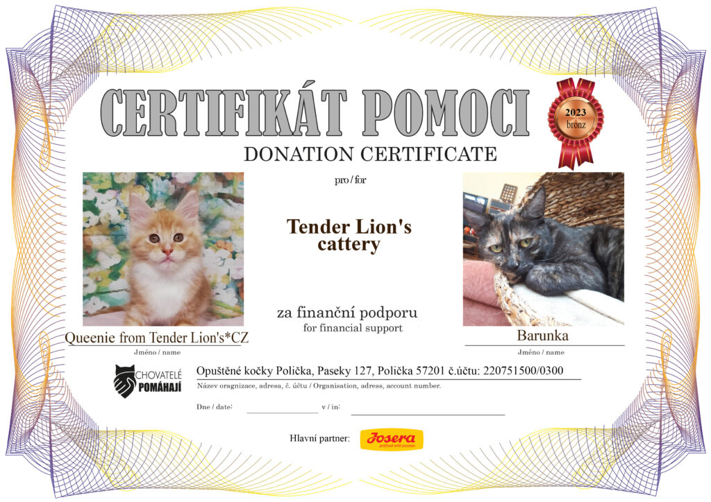 Qweenie from Tender Lion’s*CZ – Barunka