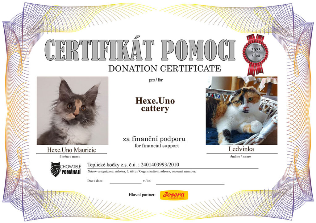 Hexe.Uno Mauricie – Ledvinka