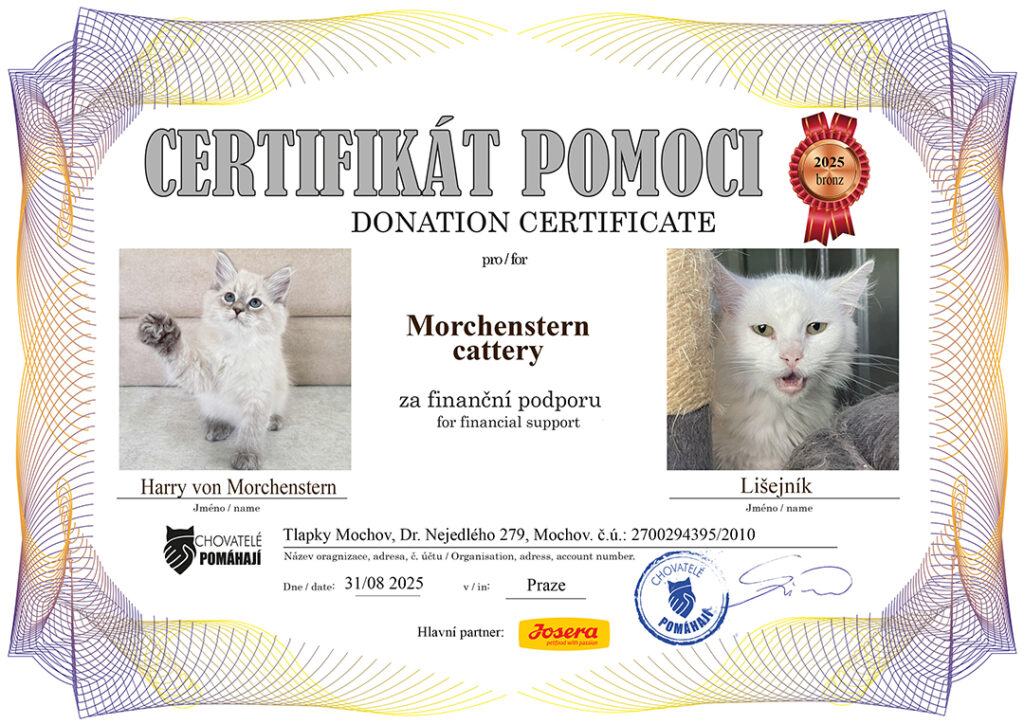 Harry – Lišejník