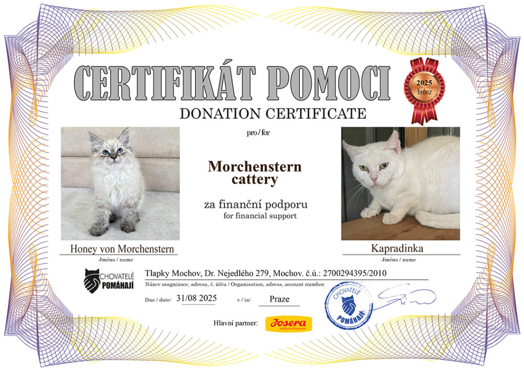 Honey – Kapradinka