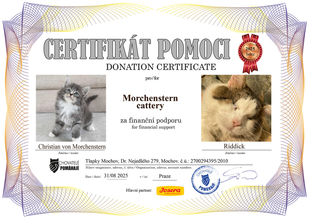 Christian – Riddic