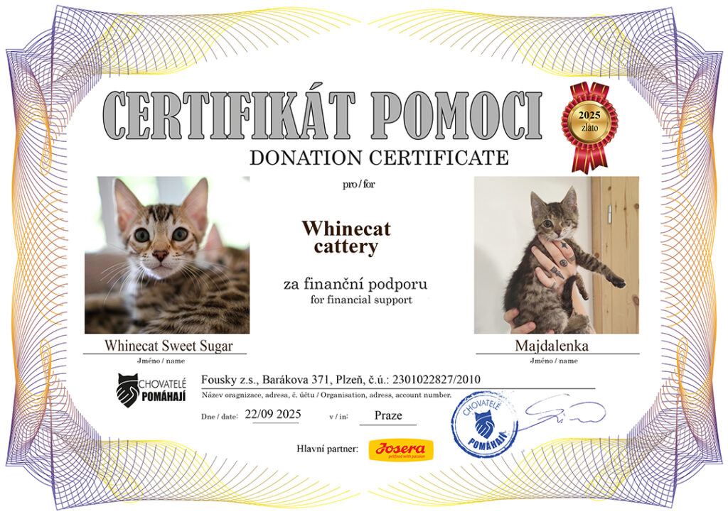 Sweet Sugar – Majdalenka